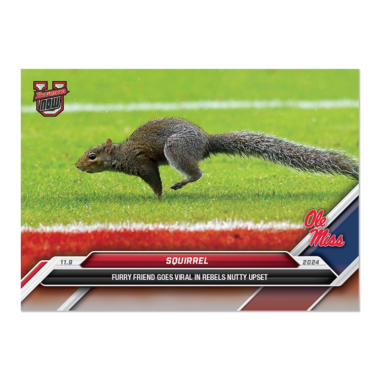 Squirrel - 2024 Bowman U NOW Football Card 41 - PR: 1242